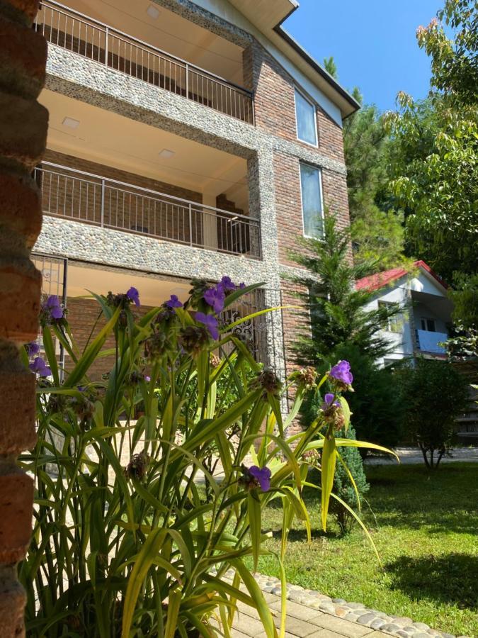 Guest House Shekvetili Dış mekan fotoğraf