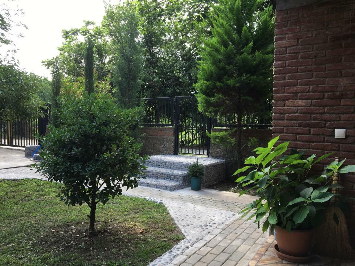 Guest House Shekvetili Dış mekan fotoğraf